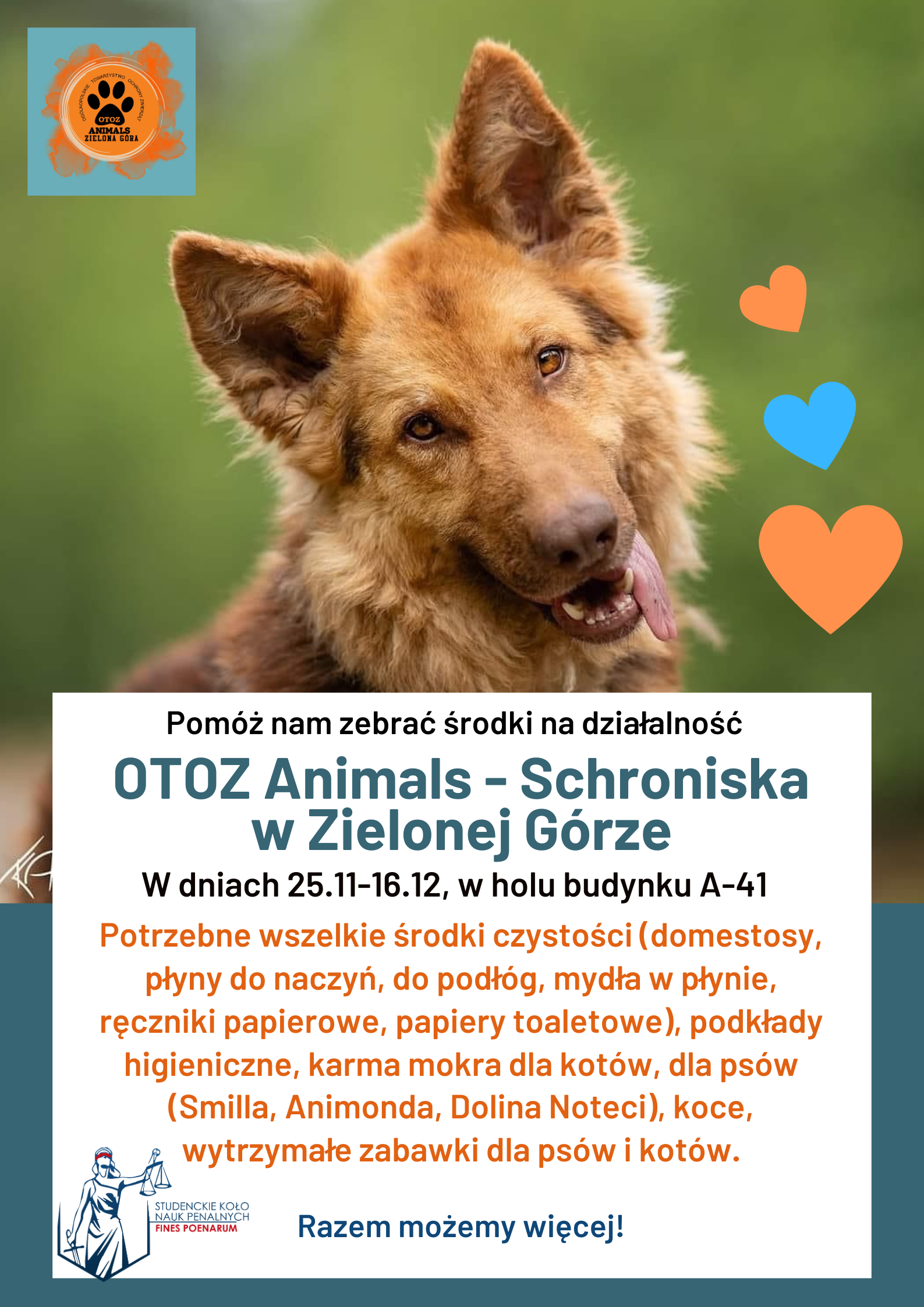 zielono_pomaranczowy_nowoczesny_plakat_dla_schroniska_zbiorka_srodkow.png