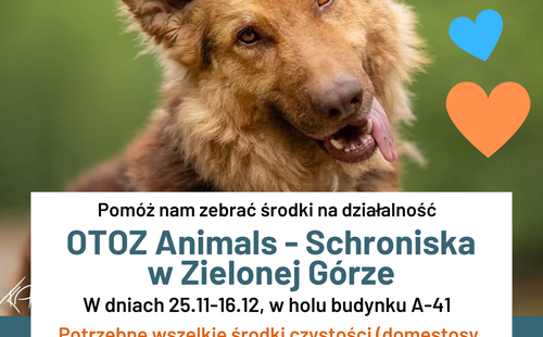 Zbiórka środków na działalność schroniska